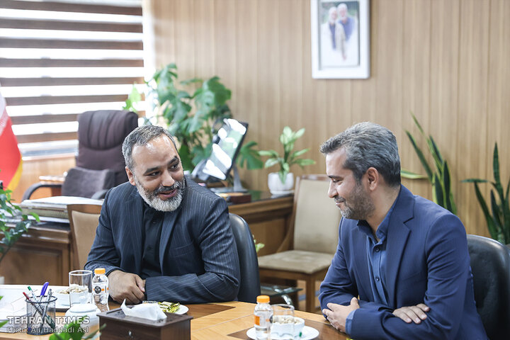 Brazil envoy hopes for deeper ties on Tehran Times visit