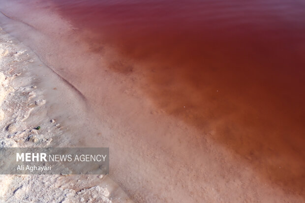 Urmia Lake turns red