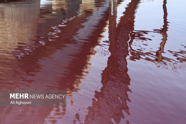 Urmia Lake turns red