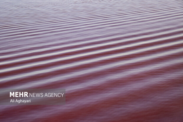 Urmia Lake turns red