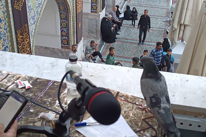 همراهی رادیو اربعین با زائران در مشهد مقدس همراهی رادیو اربعین با زائران در مشهد مقدس