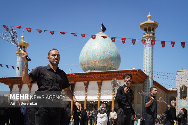 عزاداری شهادت امام رضا(ع) در شیراز