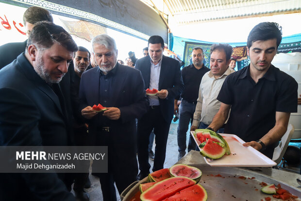 سفر وزیر میراث فرهنگی، گردشگری و صنایع دستی به یزد