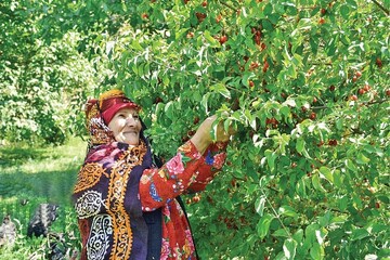 Doğu Azerbaycan'da 7. Keleyber Kızılcık Festivali