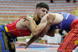 Youth Wrestling Championship Competition in Hamedan