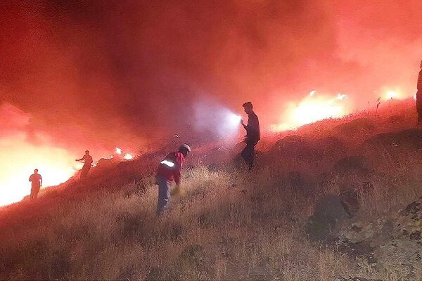 یک هکتار از منابع طبیعی تکاب طعمه حریق شد یک هکتار از منابع طبیعی تکاب طعمه حریق شد