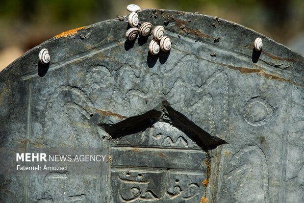 قبرستان سفیدچاه