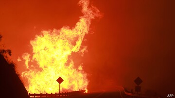 Huge forest fire at forests in Europe