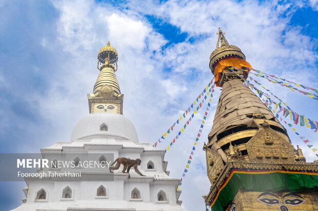 گذر از مرزها