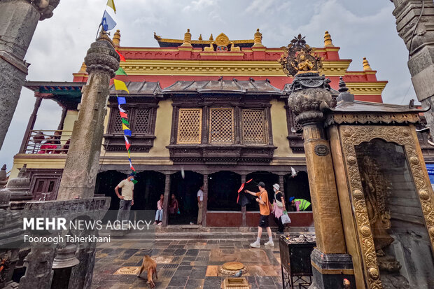 گذر از مرزها