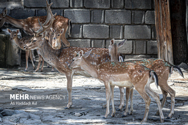 
Eram Zoo park