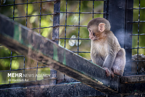 
Eram Zoo park