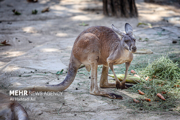 
Eram Zoo park