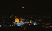 برنامه‌های متنوع فرهنگی و خدماتی مواکب برای زائران امامین عسکریین(ع)