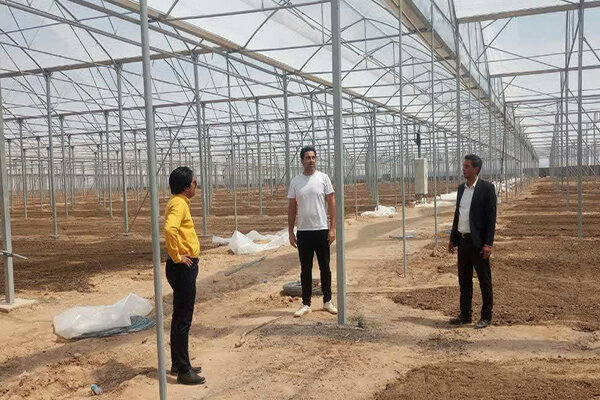 عملیات اجرایی پروژه گلخانه ۵۰ هکتاری در خوی آغاز شد