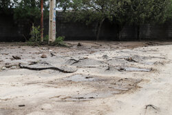 فوران آب ناشی از شکستگی لوله غیرشرب در سنندج