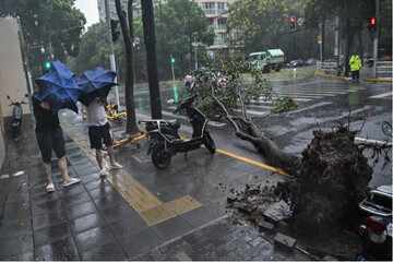 Strongest typhoon to hit Shanghai since 1949 shuts down city