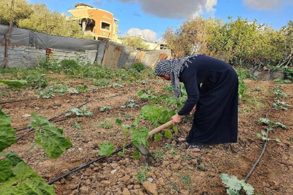 Filistinli ailenin savaş sayensinde hayat mücadelesi sürüyor Filistinli ailenin savaş sayensinde hayat mücadelesi sürüyor