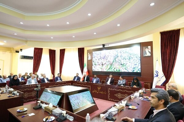 برگزاری نخستین نشست مشترک روسای فدراسیونها با وزیر ورزش