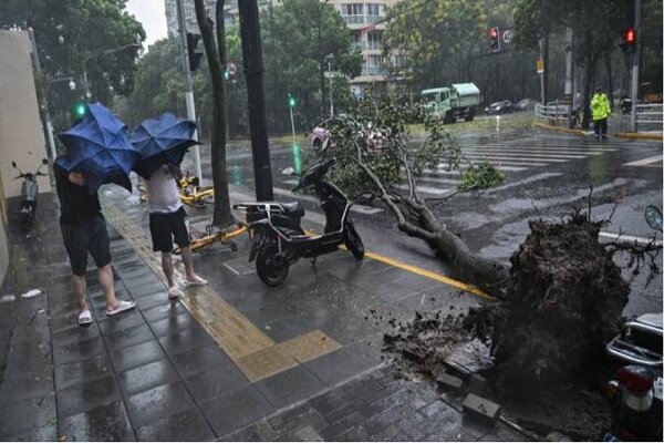 Strongest typhoon to hit Shanghai since 1949 shuts down city