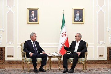 Iranian President Masoud Pezeshkian and Sergei Shoigu, Secretary of the Security Council of the Russian Federation