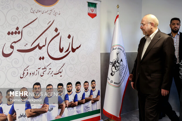 مراسم تجلیل از کشتیگیران مدالآور المپیک با حضور رئیس مجلس 3