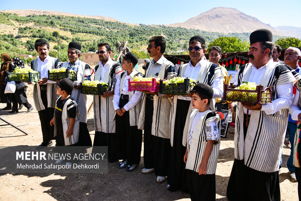 دومین جشنواره گردشگری انگور در شهر ناغان 7