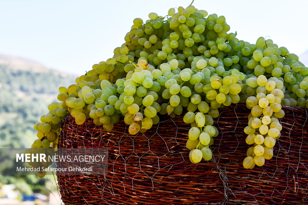 موتور نیمه خاموش صنایع تبدیلی خراسان شمالی