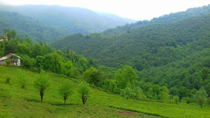 دومین جشنواره فستیوال و گردهمایی بزرگ سیاهکل برگزار می‌شود