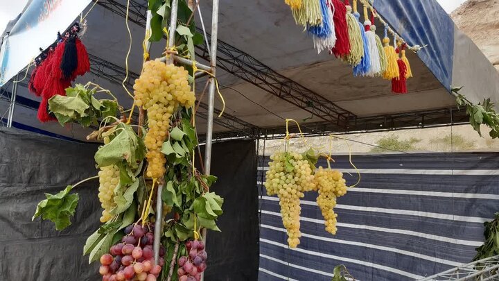 انگور بیجار در پیچ و تاب مشکلات/باغداران از مشکلات خود میگویند انگور بیجار در پیچ و تاب مشکلات/باغداران از مشکلات خود میگویند