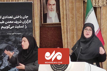 مهاجرانی: عدالت آموزشی جزو برنامه‌های جدی دولت خواهد بود