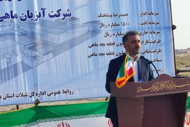 پرورش ماهی در قفس در استان بوشهر ۵۰ برابر شد پرورش ماهی در قفس در استان بوشهر ۵۰ برابر شد