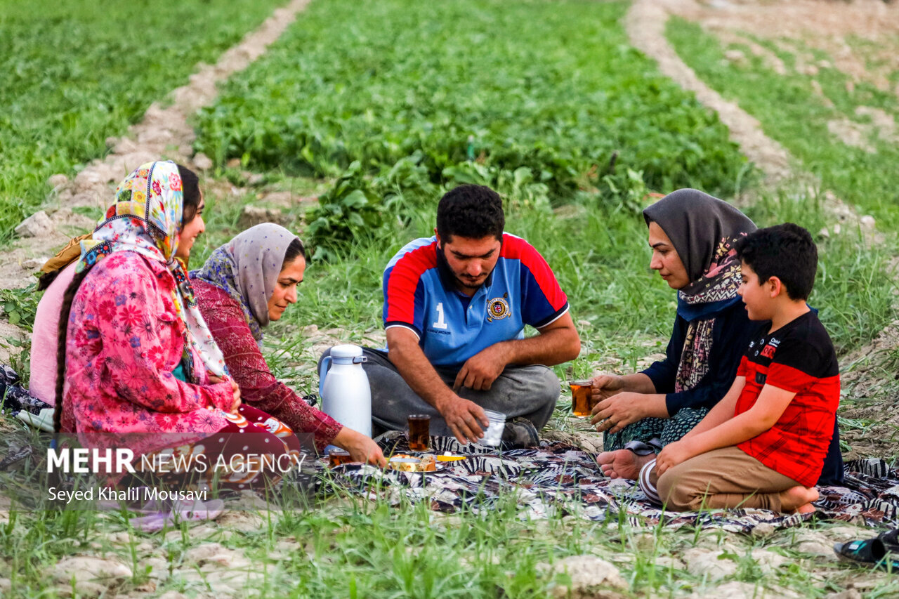 «مزرعه تا سفره» طرحی که هنوز در ایلام خاک می خورد