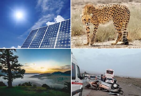 ترک فعل بلای جان استان سمنان/ ورود پر قدرت دستگاه قضایی ترک فعل بلای جان استان سمنان/ ورود پر قدرت دستگاه قضایی