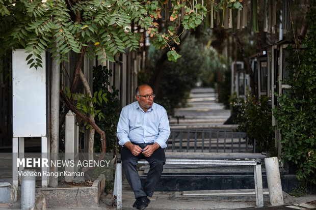 آئین «مهمانی لالهها» 7