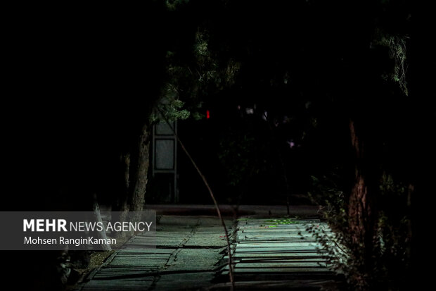 آئین «مهمانی لالهها» 16