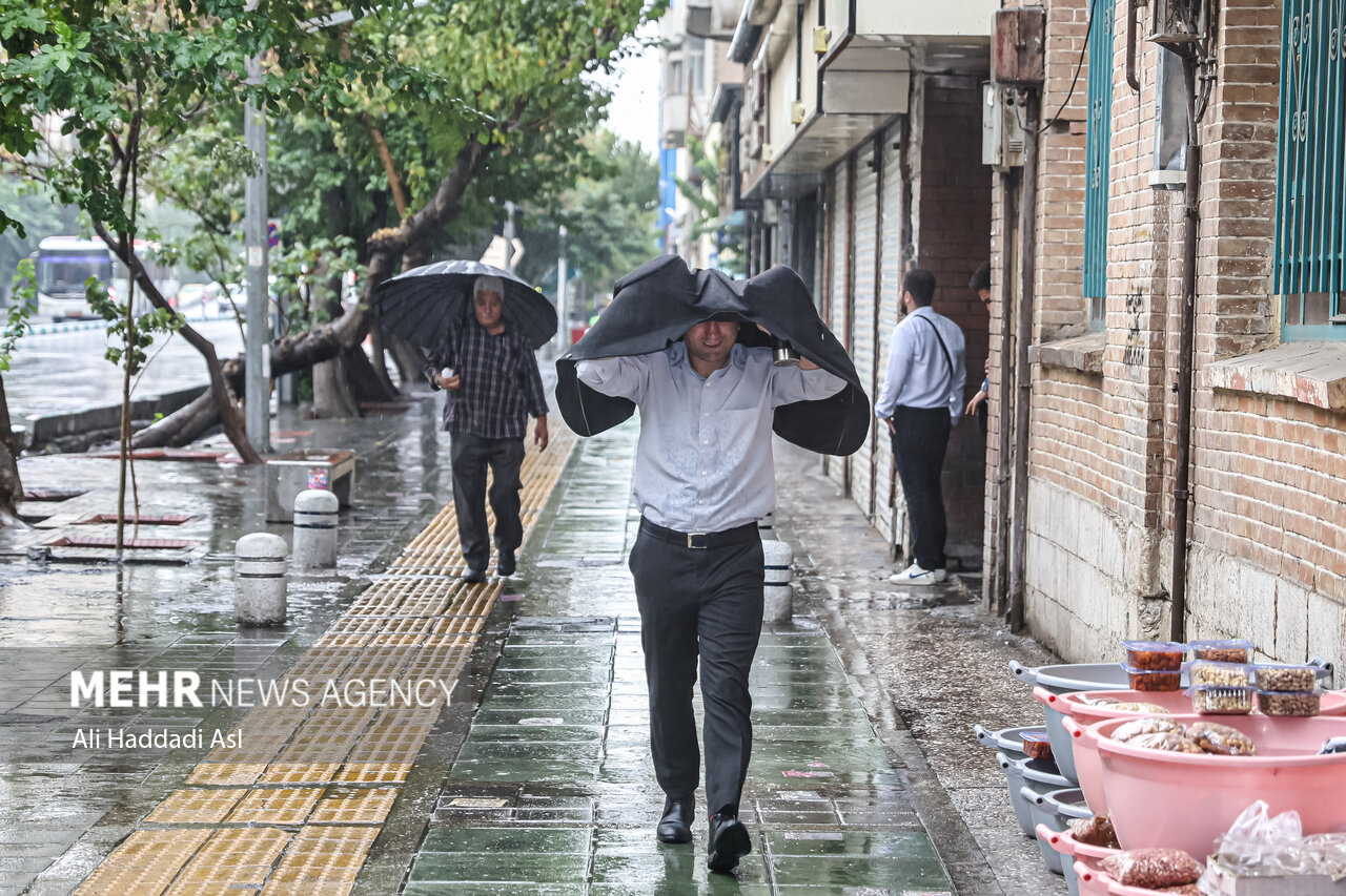 چرا ترافیک در روزهای بارانی افزایش مییابد؟