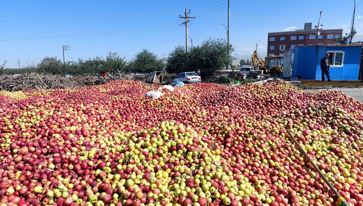 برخورد با متخلفان انباشت سیب در محورهای آذربایجان‌ غربی