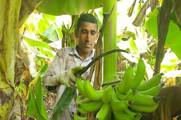 پیشرفت اقتصادی و توسعه مناطق کوچک با توجه به زیرساختها