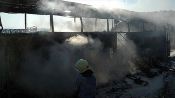 22 school children among 25 dead in Thai school bus fire