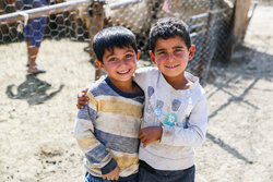 دانای عزیزی: کوچ قشلاقی عشایر شیروان آغاز شد