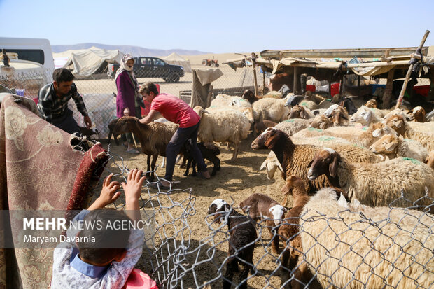مرمت و بهسازی ۴ حلقه چاه مالداری در مناطق عشایری بشرویه مرمت و بهسازی ۴ حلقه چاه مالداری در مناطق عشایری بشرویه