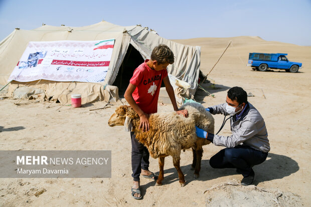 ۲۷ روستای خراسان شمالی از خدمات رایگان دامپزشکی بهره‌مند شدند