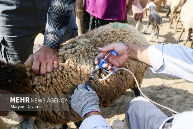 فاز سوم مرکز توزیع داروهای دام و طیور در خمینیشهر افتتاح شد فاز سوم مرکز توزیع داروهای دام و طیور در خمینیشهر افتتاح شد