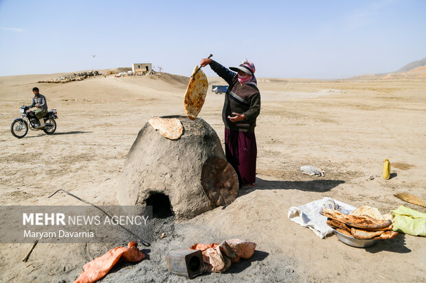 ۶ هزار تن جو مدتدار برای عشایر استان خراسان جنوبی تأمین شد ۶ هزار تن جو مدتدار برای عشایر استان خراسان جنوبی تأمین شد