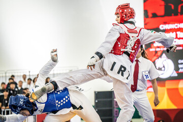 Two more golds for Iran in World Taekwondo Junior Championships