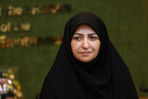 شینا انصاری: صندوق منطقهای برای حل مشکل ریزگردها تشکیل میشود