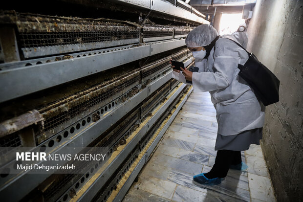 جای خالی جریانسازی رسانه ای در خراسان شمالی