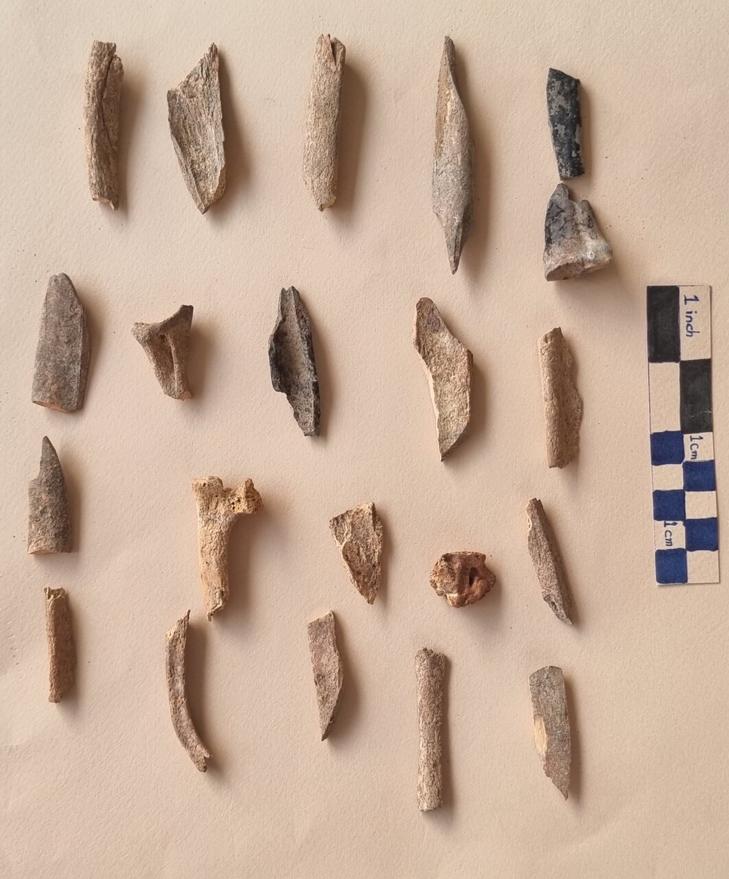 کشف تپه باستانی زیر بتن و موزاییک/تاریخ شیراز به عقب میرود؟