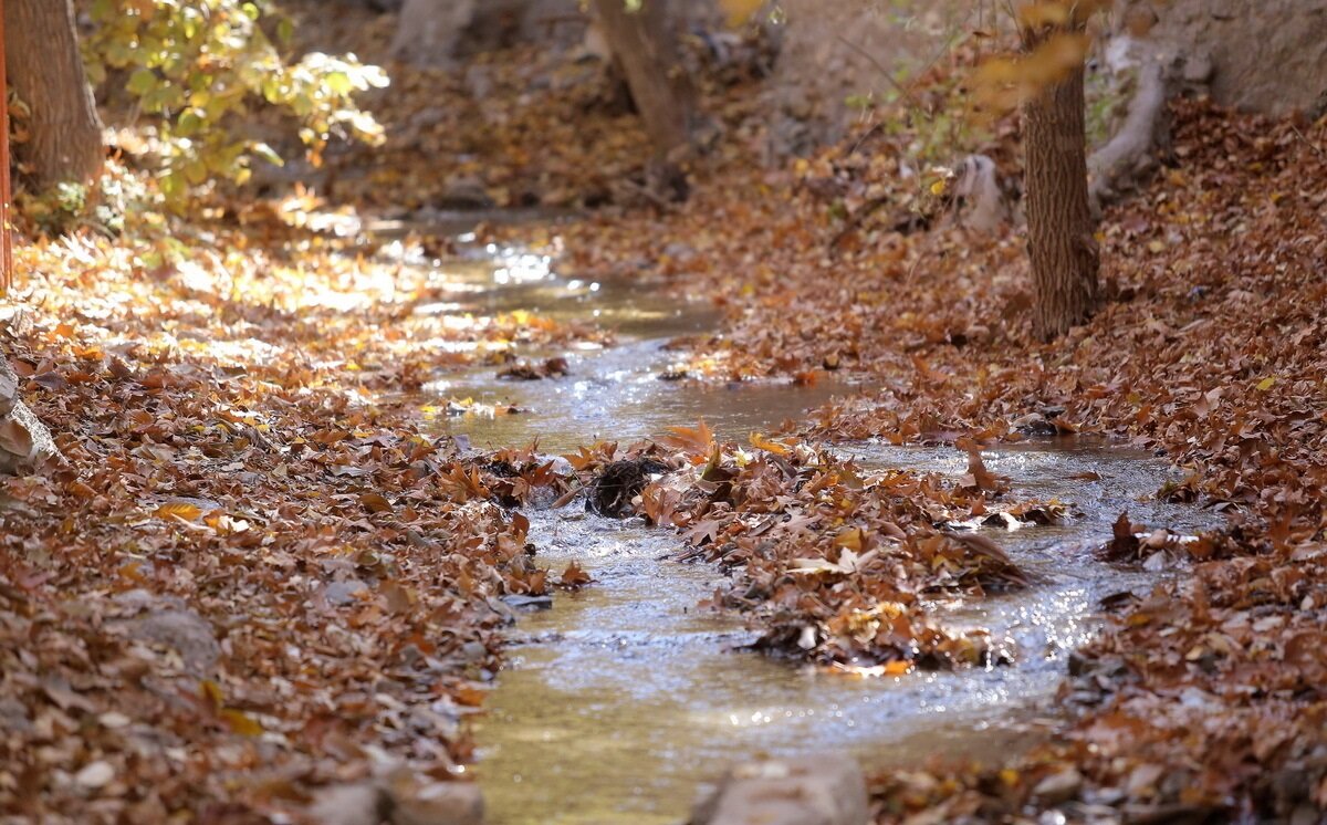 ۲۰۴ روستا در دل استان قم/ گویش قمی ثبت ملی میشود